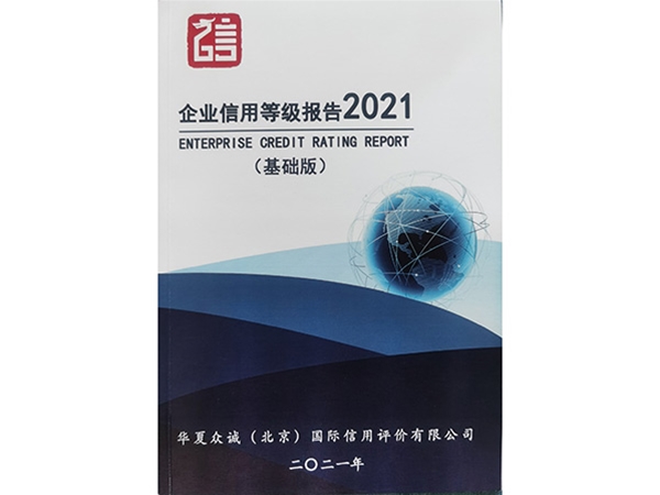 企業(yè)信用等級(jí)報(bào)告2021