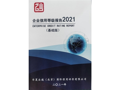 企業(yè)信用等級報告2021